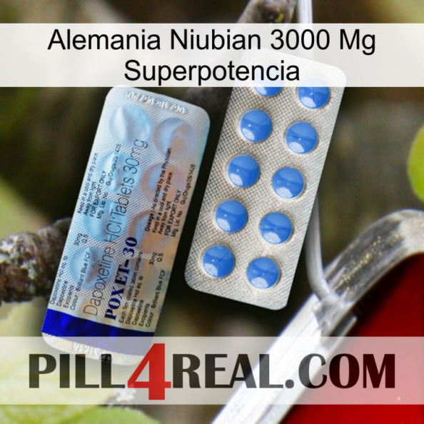 Germany Niubian 3000 Mg Superpower 39.jpg